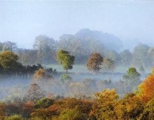 Open Photographic Competition 2009 Results