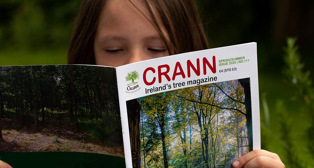 Boy reading Crann magazine